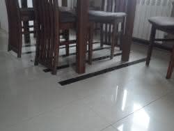 DSC01446.jpg