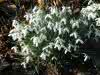 DSC01446.jpg