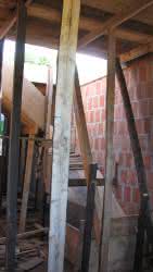 DSC01446.jpg