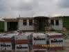 DSC01446.jpg