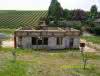 DSC01446.jpg