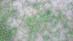 DSC01446.jpg