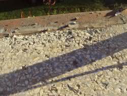 DSC01446.jpg