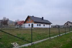 DSC01446.jpg