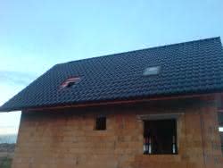 DSC01446.jpg