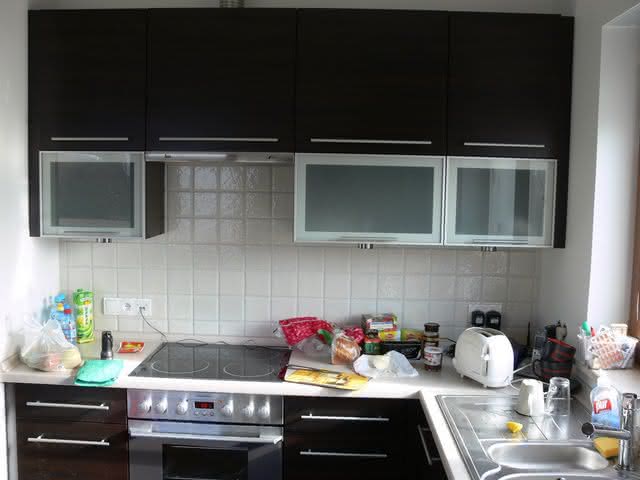 mniszekc_hb049.JPG