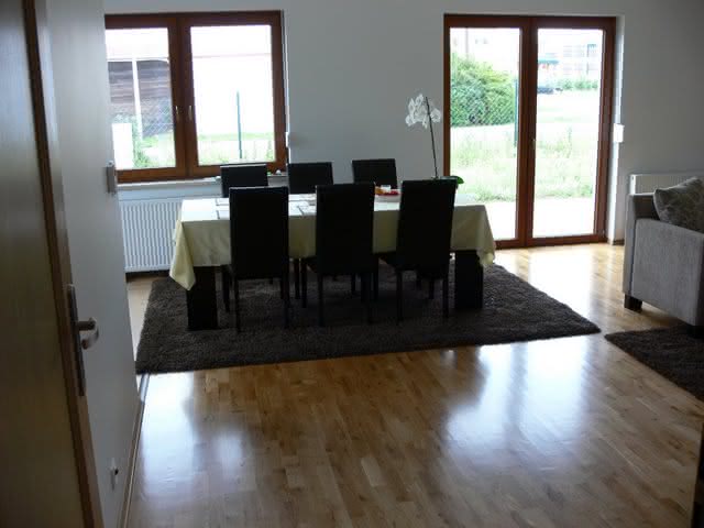 mniszekc_hb057.JPG